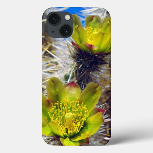 銀色のチョラサボテンの野花 Case-Mate iPhoneケース (裏面)