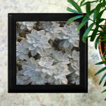 銀色の多肉植物の美しい木造の形見 ギフトボックス<br><div class="desc">ピンクとダークシャドウのヒントを持つ銀色の青と緑のエチェヴェリアの多肉植物は、この美しい木の記念エレガント品のギフトボックスに特集されている。それは洗練され、美しい。この画像はJLW_PHOTOGRAPHYによるオリジナル植物写真である</div>