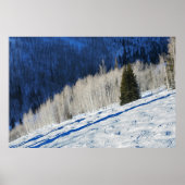 銀色の木 ポスター (正面)