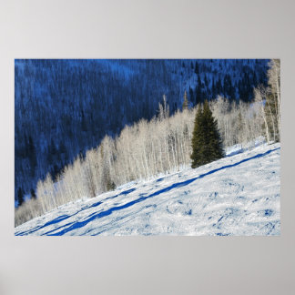 銀色の木 ポスター