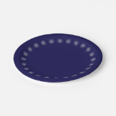 銀色の涙 ペーパープレート (アングル)