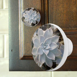 銀色の青い多肉植物の写真 セラミックノブ