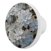 銀色の青い多肉植物写真 セラミックノブ (右)