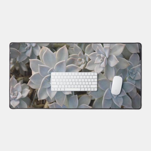 銀色の青い多肉植物写真 デスクマット (キーボード&マウス)
