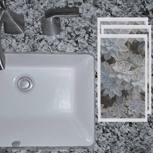 銀色の青い多肉類