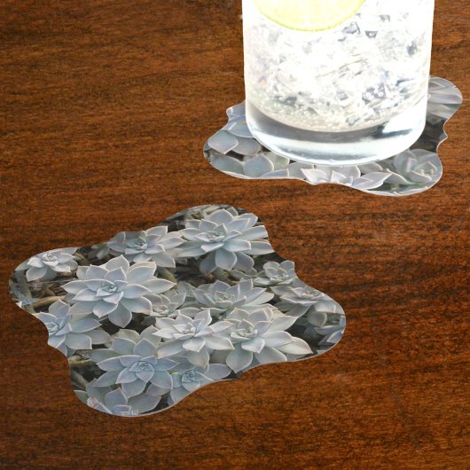 銀色の青い多肉類 ペーパーコースター
