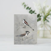 銀色の鳥獣 |ペア ポストカード (スタンド正面)