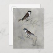 銀色の鳥獣 |鳥のペア ポストカード (正面/裏面)