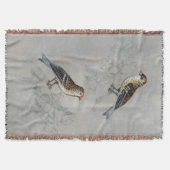 銀色の鳥獣 | 2羽の鳥 スローブランケット (正面)