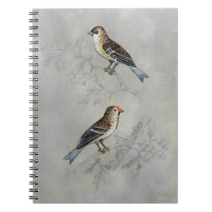 銀色の鳥獣 2羽の鳥 ノートブック