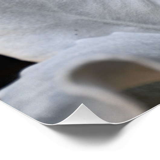 銀色ホワイトエンジェルウィングスプラントフローラ ポスター (コーナー)