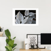 銀色ホワイトエンジェルウィングスプラントフローラ ポスター (ホームオフィス)
