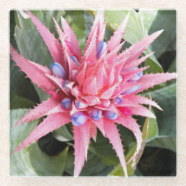 銀花瓶プラント開花フローラ ガラスコースター