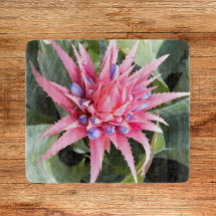 銀花瓶植物開花フローラ