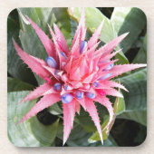 銀花瓶植物開花フローラ コースター (正面)