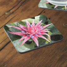 銀花瓶植物開花フローラ