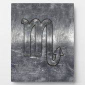 銀蠍座〔占星術の〕十二宮図サインメ動揺してタルスタイル フォトプラーク (正面)