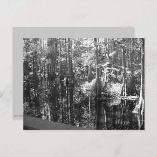 銀行はがきに沿って ポストカード (正面/裏面)