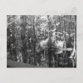 銀行はがきに沿って ポストカード (正面)