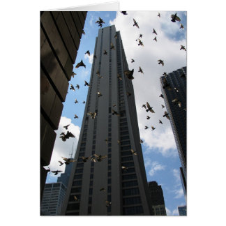 銀行1広場の脱出