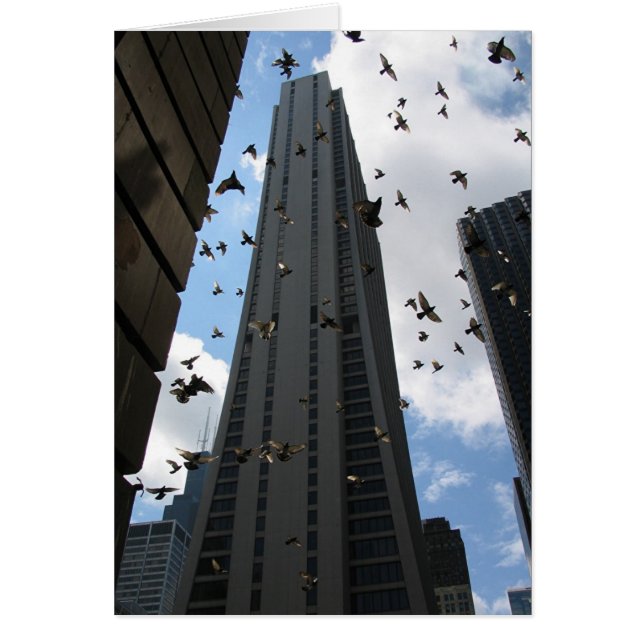 銀行1広場の脱出 (正面)