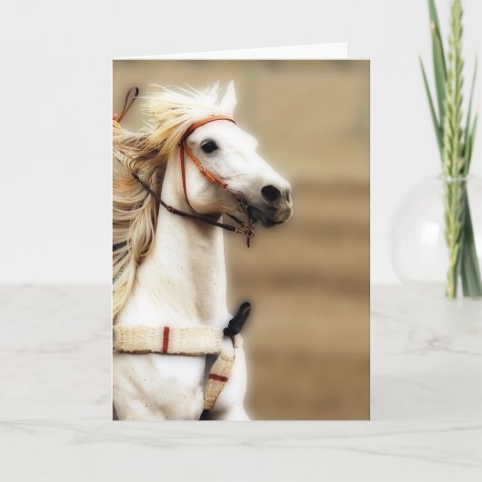 銀製の影のブランクの中の挨拶状 カード (正面)