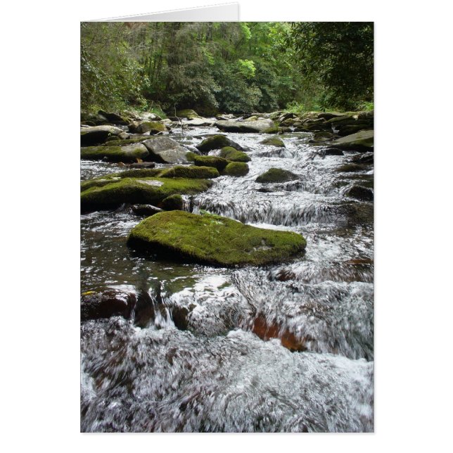 銀製の急流 (正面)