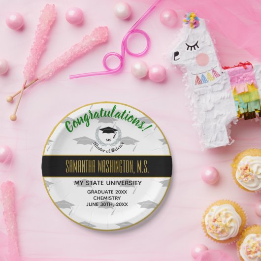 銀製の月桂樹のマスター科学の卒業パーティー ペーパープレート (パーティー)