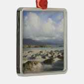 銀製の繊維のビーチ メタルオーナメント (右)