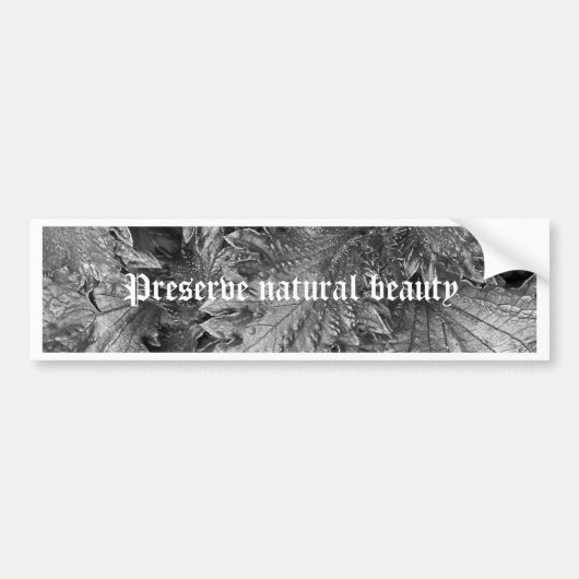 銀製の美しい バンパーステッカー (正面)