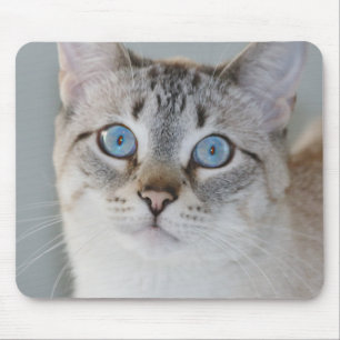 銀製の虎猫のシャムのマウスパッド マウスパッド