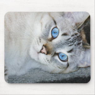 銀製の虎猫のシャムのマウスパッド マウスパッド
