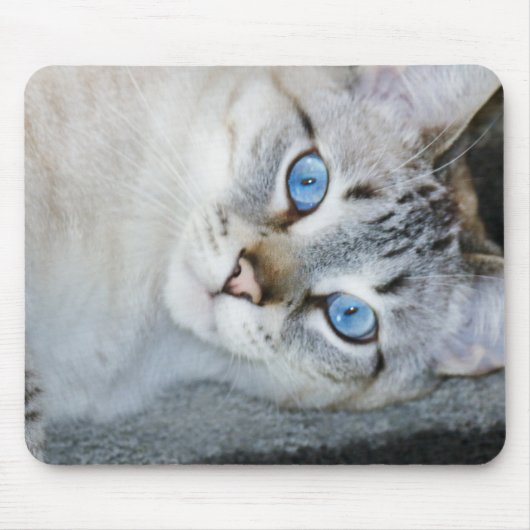 銀製の虎猫のシャムのマウスパッド マウスパッド (正面)