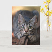 銀製の虎猫の子ネコカード カード (黄色い花)