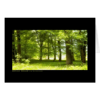 銀製木(カード)