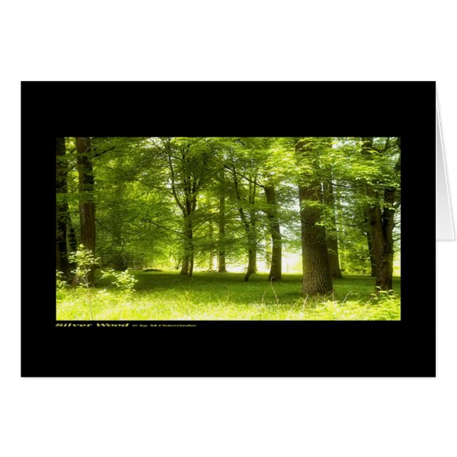 銀製木(カード) (正面横)