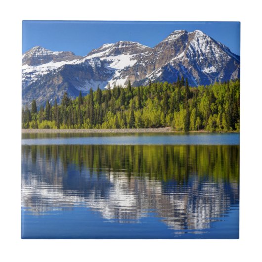 銀製湖の平たい箱に反映されるMt. Timpanogos タイル (正面)