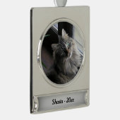 銀貨の主な銀号の年 シルバープレートバナーオーナメント (右)