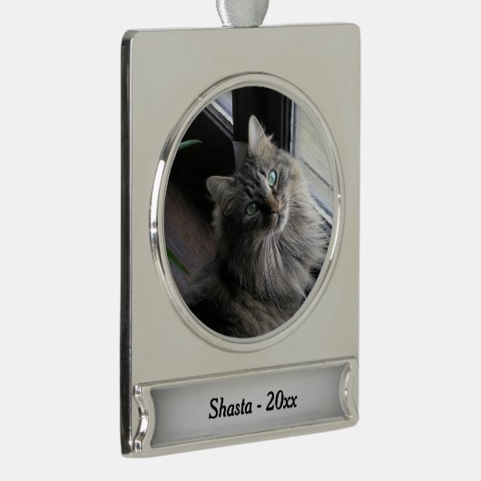 銀貨の主な銀号の年 シルバープレートバナーオーナメント (右)