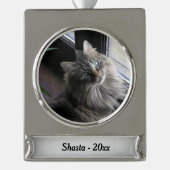 銀貨の主な銀号の年 シルバープレートバナーオーナメント (正面)