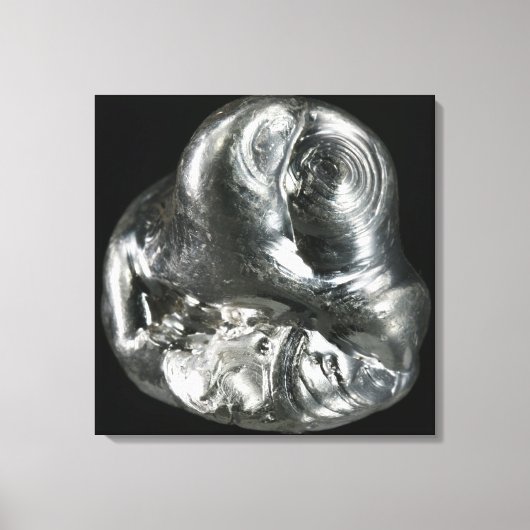 銀金属 キャンバスプリント (正面)