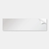 銀 バンパーステッカー (正面)