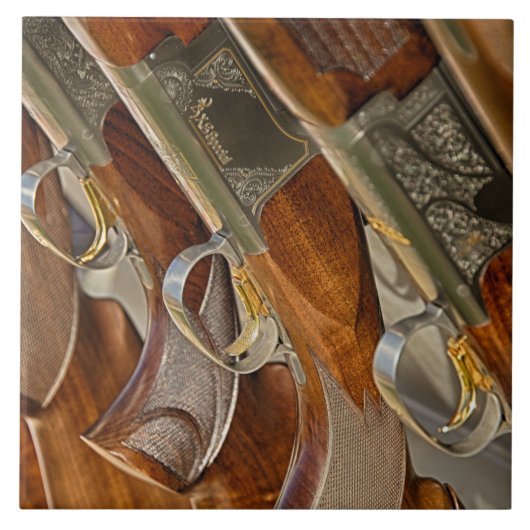 銃のコレクションの表示 タイル (正面)
