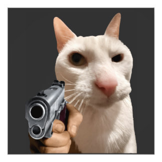 銃を持つクールな猫の面白いミーム フォトプリント