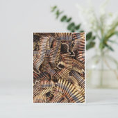 銃弾 ポストカード (スタンド正面)