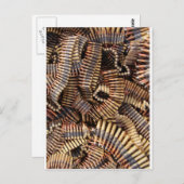 銃弾 ポストカード (正面/裏面)