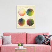 銅のカラーグローブ キャンバスプリント (インサイチュ (リビング))