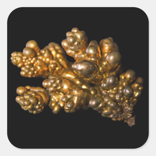 銅の写真を黒い正方形のステッカーに スクエアシール (正面)