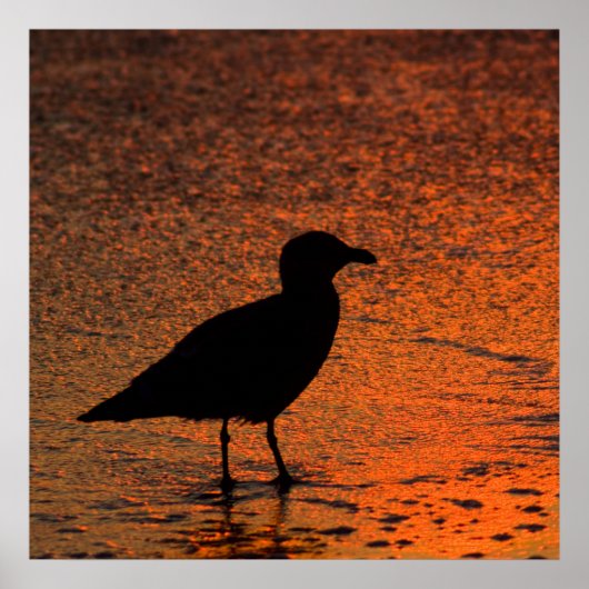 銅の夕日 ポスター (正面)