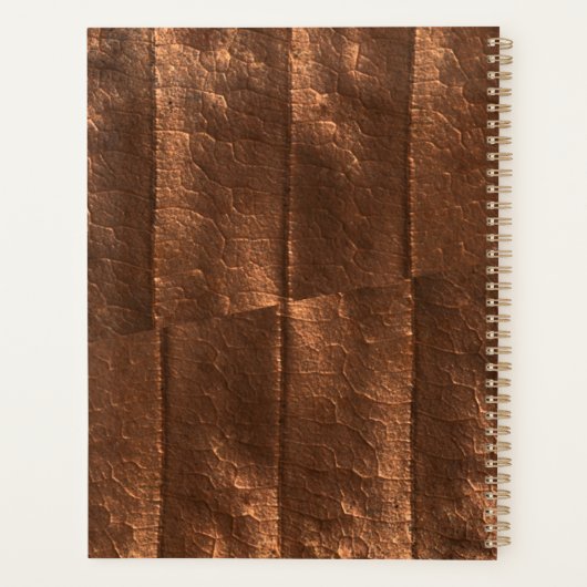 銅メタリック金ゴールド独占的贅沢モノグラムの プランナー手帳 (裏面)